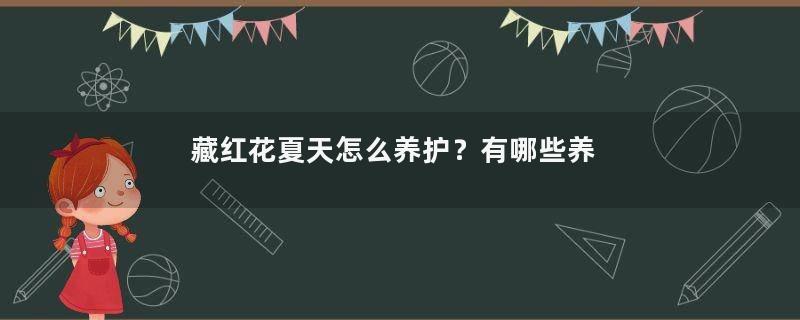 藏红花夏天怎么养护？有哪些养护方法？