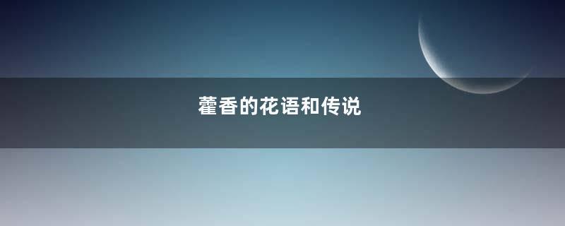 藿香的花语和传说