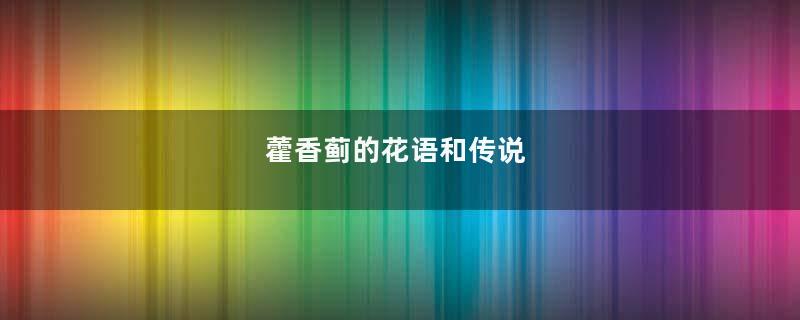 藿香蓟的花语和传说