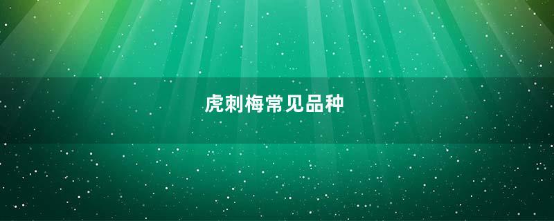 虎刺梅常见品种