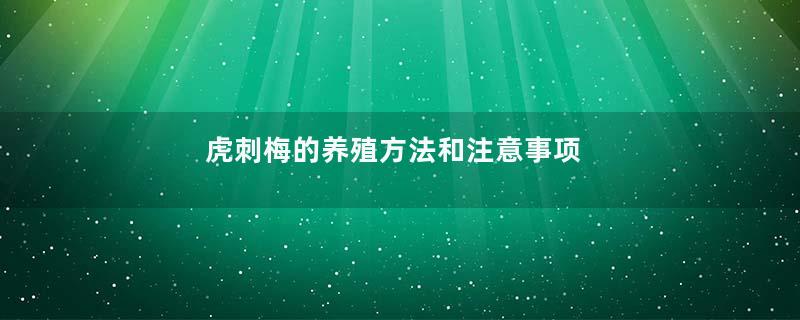 虎刺梅的养殖方法和注意事项