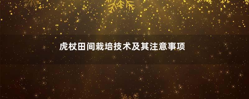 虎杖田间栽培技术及其注意事项