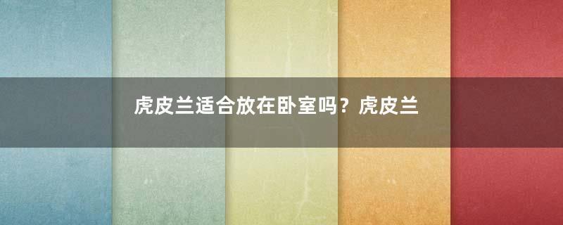 虎皮兰适合放在卧室吗？虎皮兰放在卧室养好吗？
