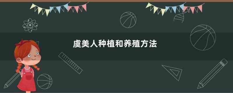 虞美人种植和养殖方法