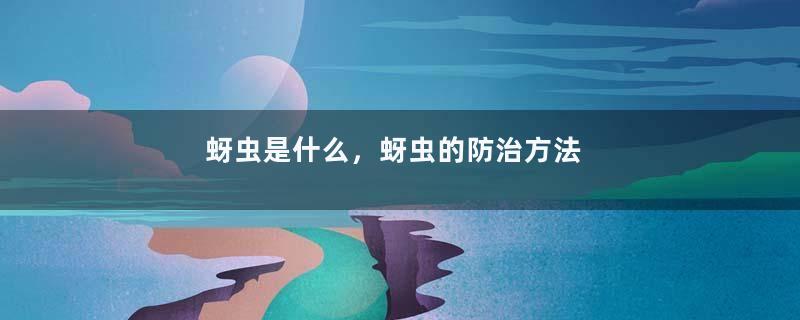 蚜虫是什么，蚜虫的防治方法