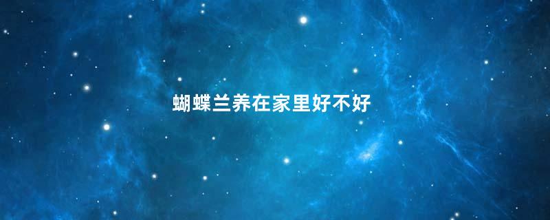 蝴蝶兰养在家里好不好