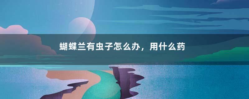 蝴蝶兰有虫子怎么办，用什么药