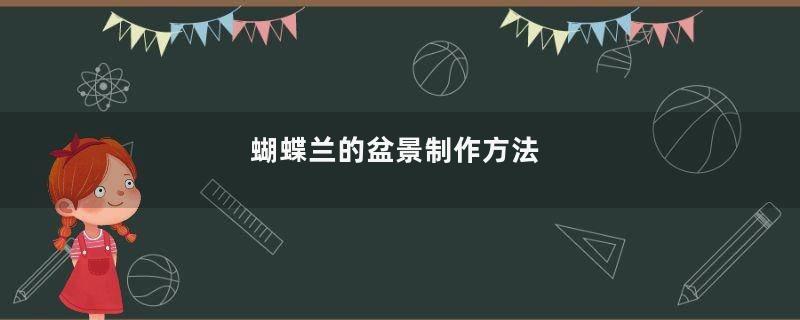 蝴蝶兰的盆景制作方法