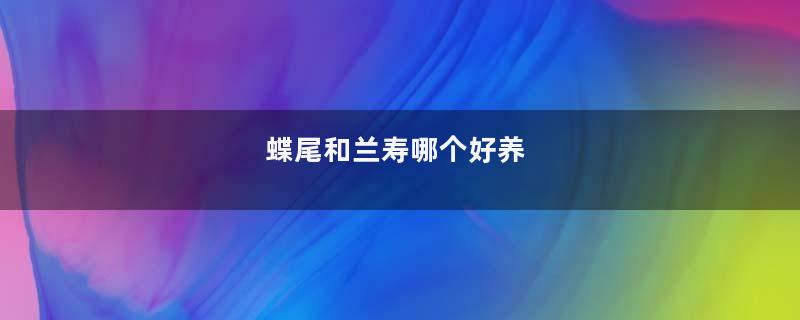 蝶尾和兰寿哪个好养