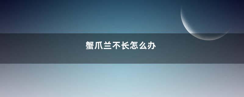 蟹爪兰不长怎么办
