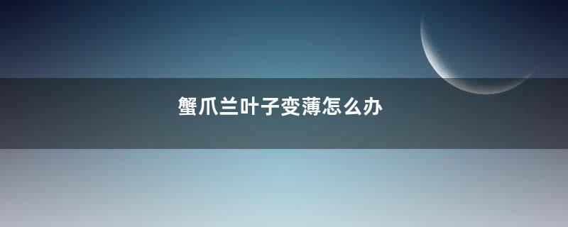 蟹爪兰叶子变薄怎么办
