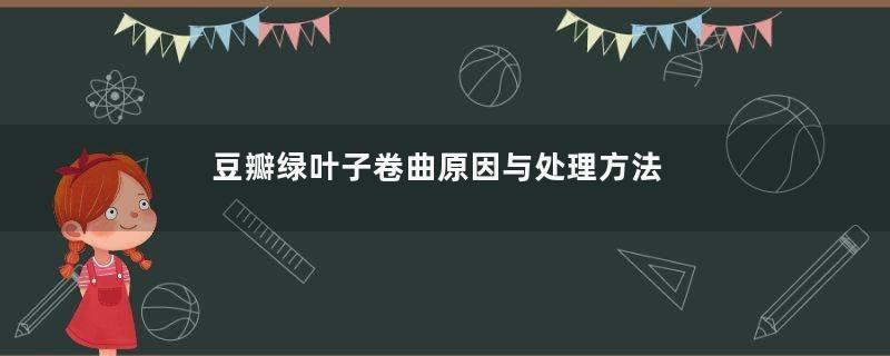 豆瓣绿叶子卷曲原因与处理方法
