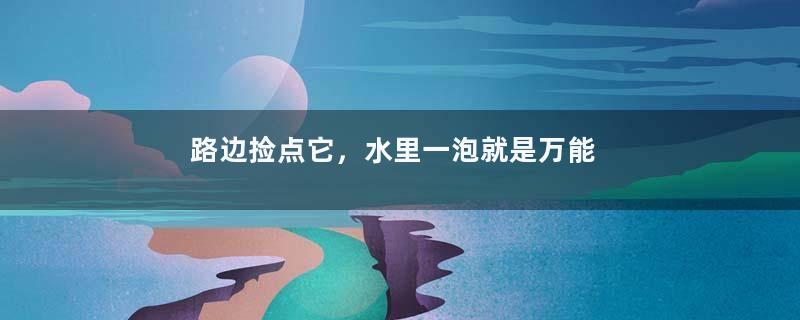 路边捡点它，水里一泡就是万能肥，肥效比淘米水好！