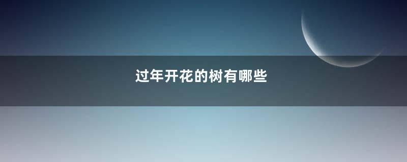 过年开花的树有哪些