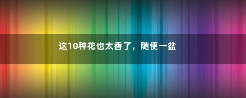 这10种花也太香了，随便一盆都香喷喷的！