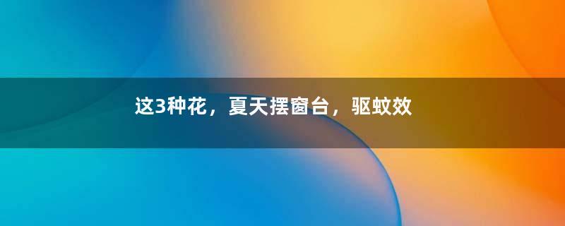 这3种花，夏天摆窗台，驱蚊效果特别好~