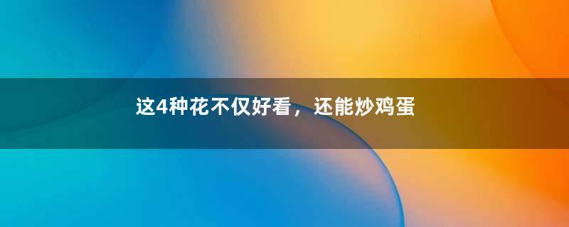 这4种花不仅好看，还能炒鸡蛋吃~