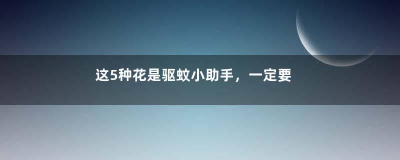 这5种花是驱蚊小助手，一定要养一盆！