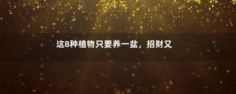 这8种植物只要养一盆，招财又旺宅！