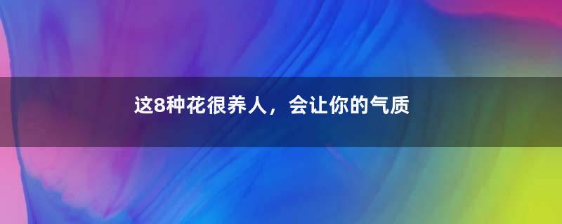 这8种花很养人，会让你的气质越来越好~
