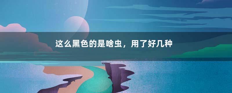 这么黑色的是啥虫，用了好几种方法都不管用，要咋治？