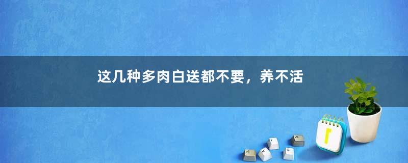 这几种多肉白送都不要，养不活还白花钱，真坑！
