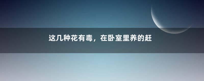 这几种花有毒，在卧室里养的赶紧搬出去！