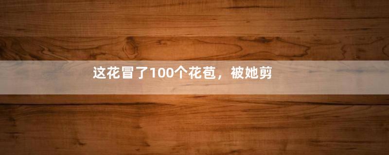 这花冒了100个花苞，被她剪了70个，心疼！
