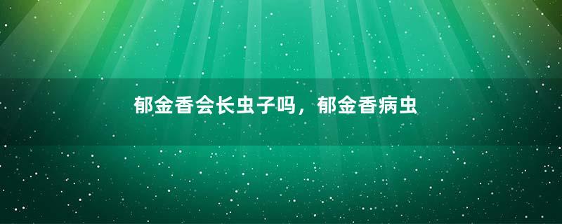 郁金香会长虫子吗，郁金香病虫害