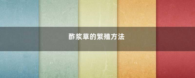 酢浆草的繁殖方法