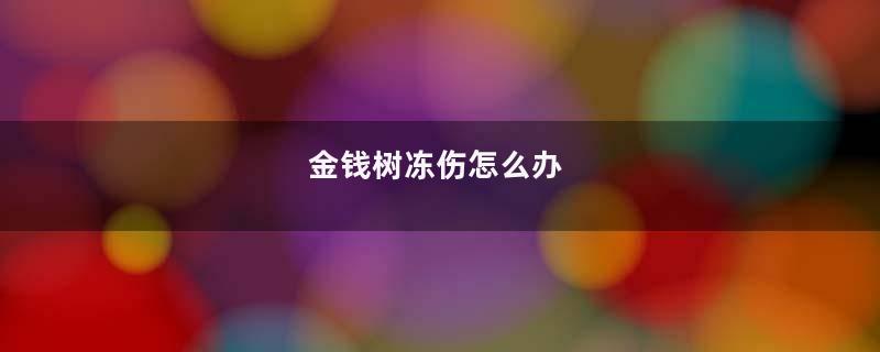 金钱树冻伤怎么办