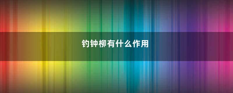 钓钟柳有什么作用