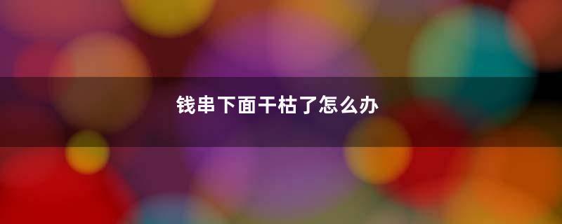 钱串下面干枯了怎么办
