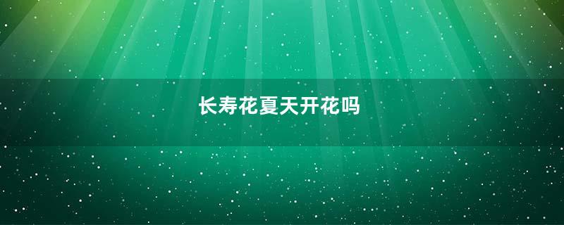 长寿花夏天开花吗