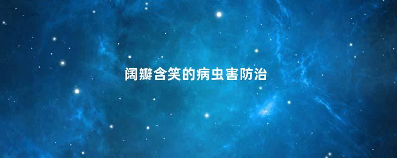阔瓣含笑的病虫害防治