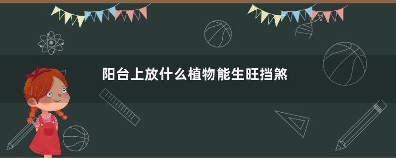 阳台上放什么植物能生旺挡煞