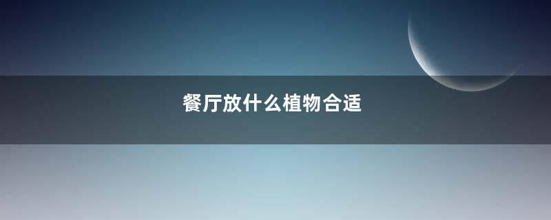餐厅放什么植物合适