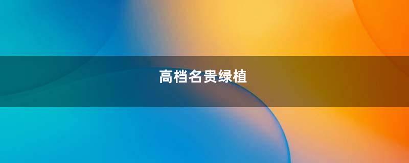 高档名贵绿植