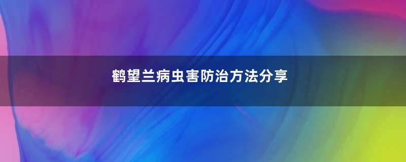 鹤望兰病虫害防治方法分享