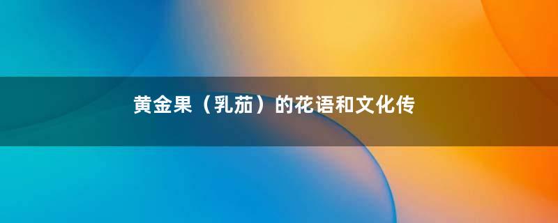 黄金果（乳茄）的花语和文化传说