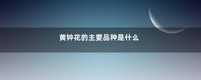 黄钟花的主要品种是什么