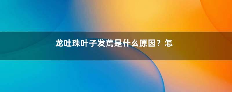 龙吐珠叶子发蔫是什么原因？怎么救？