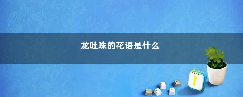 龙吐珠的花语是什么