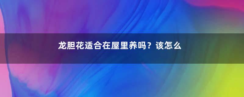 龙胆花适合在屋里养吗？该怎么养？