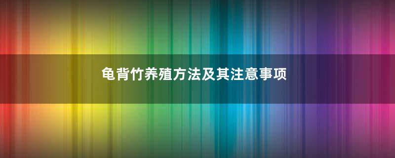 龟背竹养殖方法及其注意事项